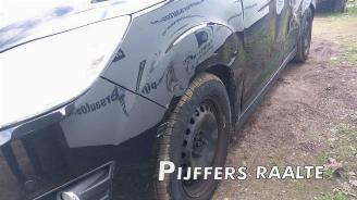 Ford C-Max C-Max (DXA), MPV, 2010 / 2019 1.6 Ti-VCT 16V picture 7