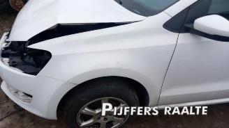 Volkswagen Polo Polo V (6R), Hatchback, 2009 / 2017 1.2 12V BlueMotion Technology picture 4