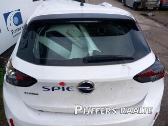 Opel Corsa Corsa F (UB/UH/UP), Hatchback 5-drs, 2019 1.2 Turbo 12V 100 picture 10