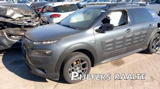 Citroën C4 cactus C4 Cactus (0B/0P), Hatchback 5-drs, 2014 1.2 PureTech 82 12V picture 2