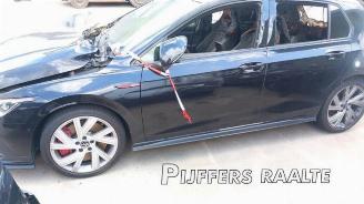 Volkswagen Golf Golf VIII (CD1), Hatchback, 2019 2.0 GTI Clubsport 16V picture 3