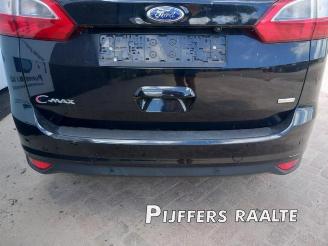 Ford Grand C-Max Grand C-Max (DXA), MPV, 2010 / 2019 1.0 Ti-VCT EcoBoost 12V 125 picture 20