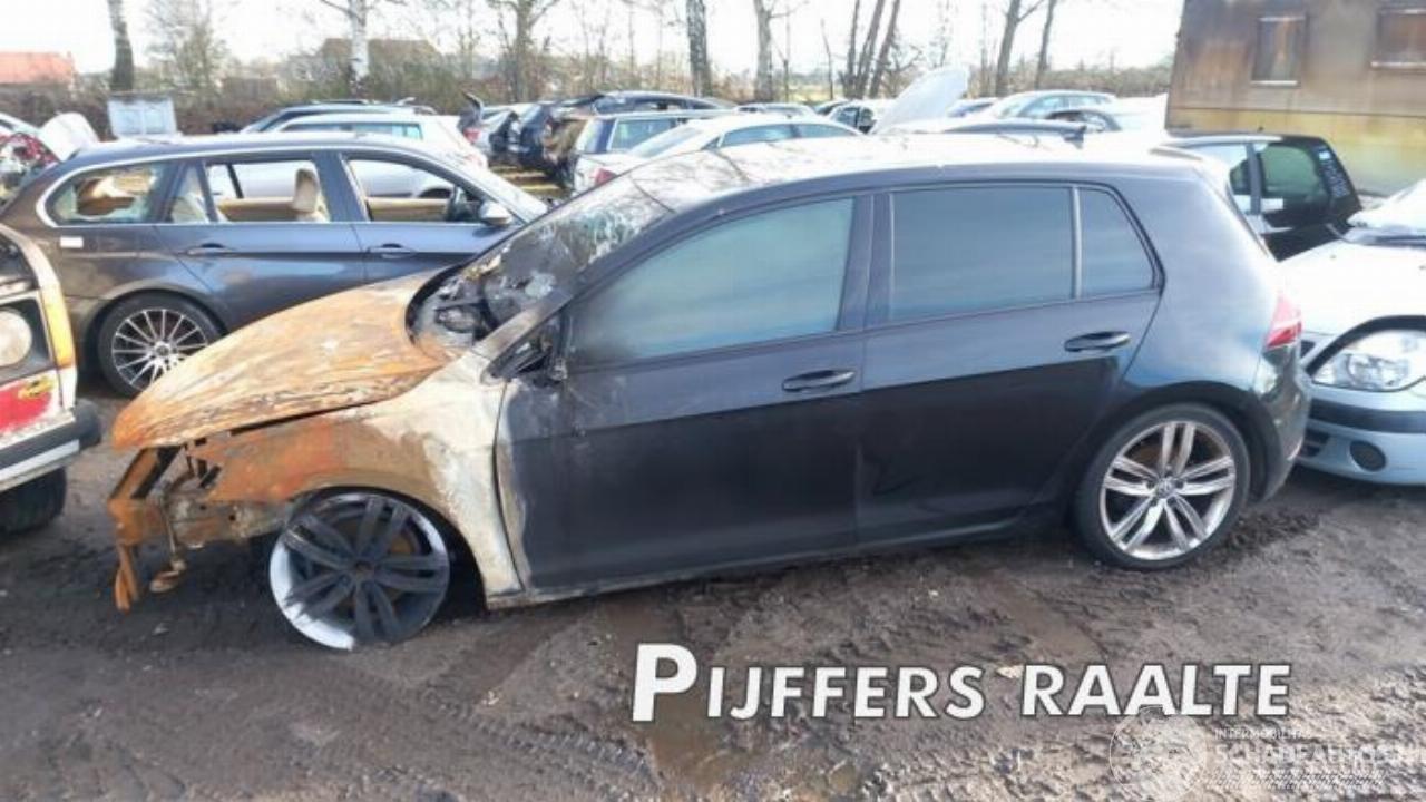 Volkswagen Golf Golf VII (AUA), Hatchback, 2012 / 2021 1.5 TSI Evo BlueMotion 16V