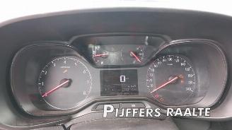 Opel Combo Combo Cargo, Van, 2018 1.5 CDTI 100 picture 16