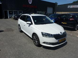 Unfallwagen Skoda Fabia 1.0 TSI BUSINESS ED. 2021/6