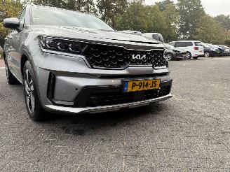Kia Sorento 1.6 T-GDI Hybrid 2WD DynamicPlusLine 7p. picture 11