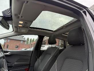 Ford Fiesta 1.5 TDCi Titanium  PANORAMADAK Hatchback 5-dr. picture 18