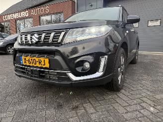Suzuki Vitara 1.4 Boosterjet Select Smart Hybrid picture 29
