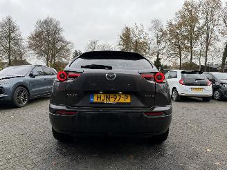 Mazda MX-30 e-SkyActiv R-EV 170 Advantage picture 33