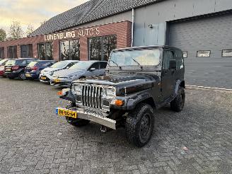Avarii autoturisme Jeep Wrangler 2.5i Hardtop (Terreinwagen 2-dr.) 1992/10