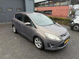 Ford C-Max 1.0 Titanium (MPV 5-dr.) picture 14