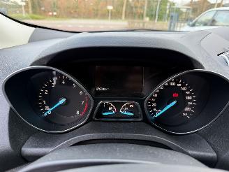Ford Kuga 1.5 EcoBoost Trend Ultimate (SUV 5-dr.) picture 26