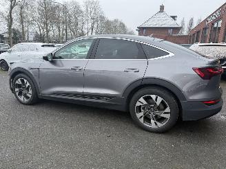 Audi E-tron 55 quattro edition 95 kWh  PANORAMADAK picture 4