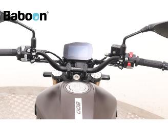 Benelli  Leoncino 800 picture 14