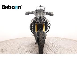 Suzuki  DL 1000 V-Strom ABS picture 3