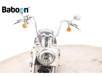 Harley-Davidson  FLSTF Fat Boy picture 18