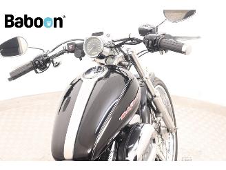 Harley-Davidson XL 1200 C Sportster picture 14