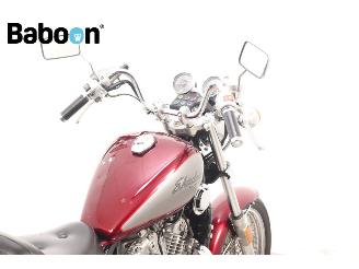 Honda  VT 800 C Shadow picture 10