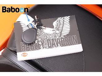 Harley-Davidson  FLTRXS Road Glide Special ABS picture 29