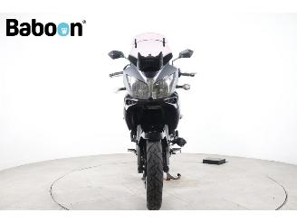 Suzuki  DL 1000 V-Strom picture 7
