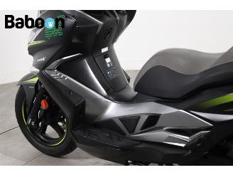 Kawasaki  J 300 ABS picture 10