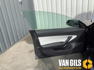 Tesla Model 3 Model 3, Sedan, 2017 Long Range, Performance AWD picture 16