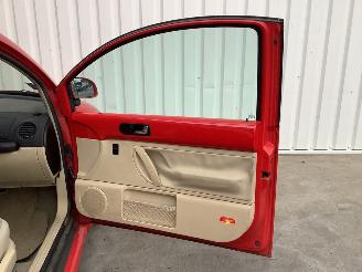 Volkswagen Beetle  picture 11