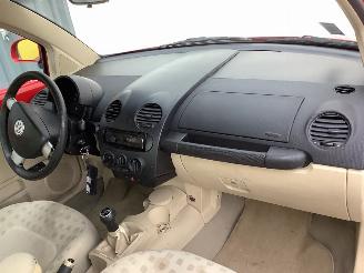 Volkswagen Beetle  picture 10