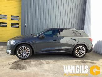 Audi E-tron e-tron (GEN), SUV, 2018 / 2023 55 quattro picture 21