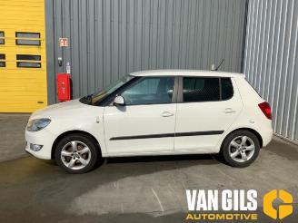 rozbiórka samochody osobowe Skoda Fabia  2012/8