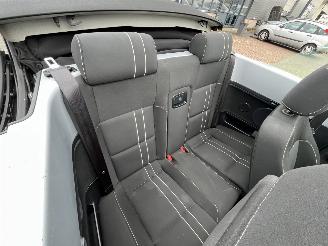 Volkswagen New-beetle Cabriolet 1.6 Trendline picture 13