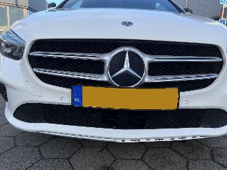 Mercedes B-klasse 200d AUTOMAAT picture 14