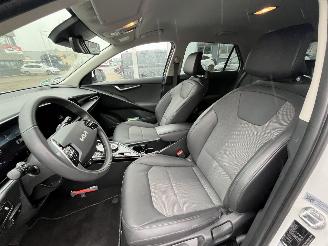 Kia e-Niro EV DynamicLine 64.8 kWh picture 15