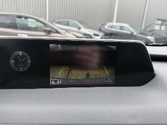 Lexus UX 250h Preference Line picture 24