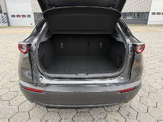 Mazda CX-30 2.0 e-SkyActiv-X M picture 7