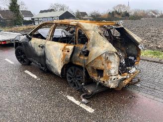 Toyota Rav-4 2.5 Hybrid picture 4