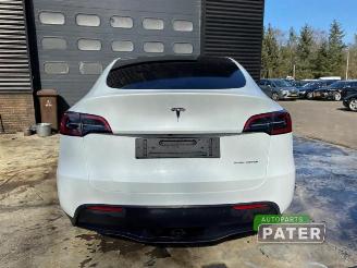 Tesla Model Y Model Y (5YJY), SUV, 2019 Long Range,Performance picture 6