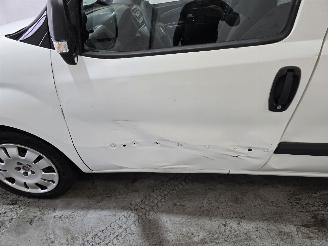 Fiat Doblo Cargo 1.3 M-Jet Maxi picture 12