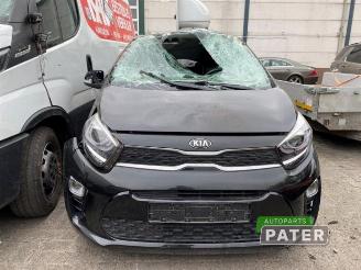 Kia Picanto Picanto (JA), Hatchback, 2017 1.0 12V picture 2