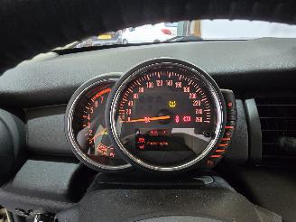 Mini One 1.2 Salt picture 22