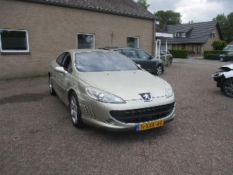 škoda osobní automobily Peugeot 407 2.2-16v Reference 2006/5