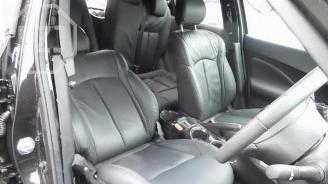 Nissan Juke Juke (F15), SUV, 2010 / 2019 1.6 16V picture 6