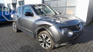 Nissan Juke  picture 2