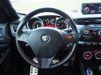 Alfa Romeo Giulietta 1.4T Distinctive Automaat picture 20