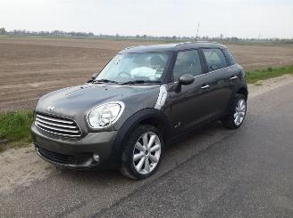 Autoverwertung Mini Countryman 1.6d 2012/9