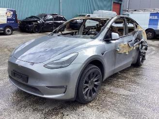 Autoverwertung Tesla Model Y Model Y (5YJY), SUV, 2019 Long Range,Performance 2023/9