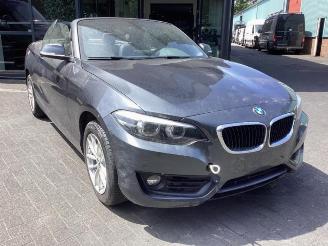BMW 2-serie 2 serie (F23), Cabrio, 2014 / 2021 218i 1.5 TwinPower Turbo 12V picture 3