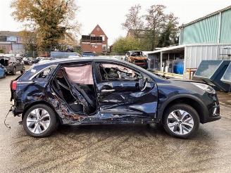 Kia Niro Niro I (DE), SUV, 2016 / 2022 E-Niro 64 kWh picture 4