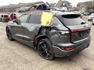 Audi Q6 Q6 e-tron (GFB), SUV, 2024 Performance 100 kWh picture 7