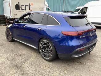 Mercedes EQC EQC (N293), SUV, 2019 / 2023 400 4-Matic picture 7